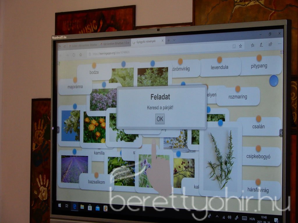 Bringás barangolások Biharban 27